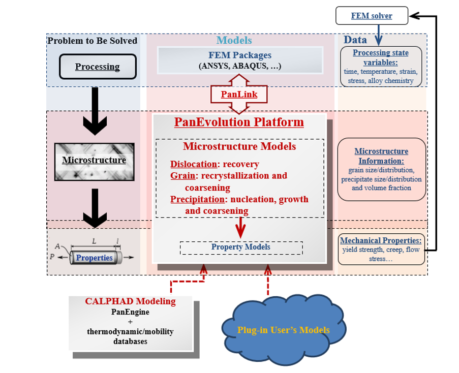 The schematized process flow of the developed PanEvolution platform