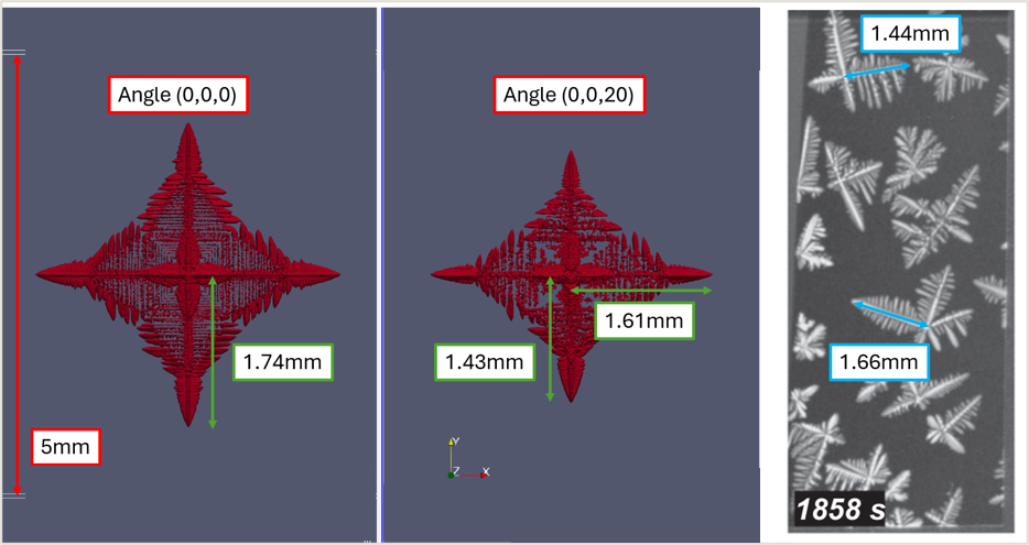CA-PanGrainStructure: simulated 3-D dendritic grain structure compared with measurement